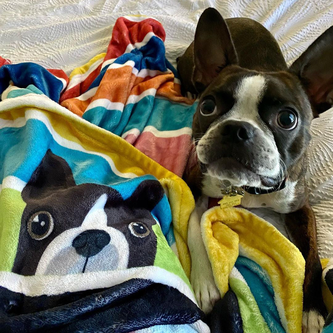 Customizable Fleece Throw Blanket 60"x80"