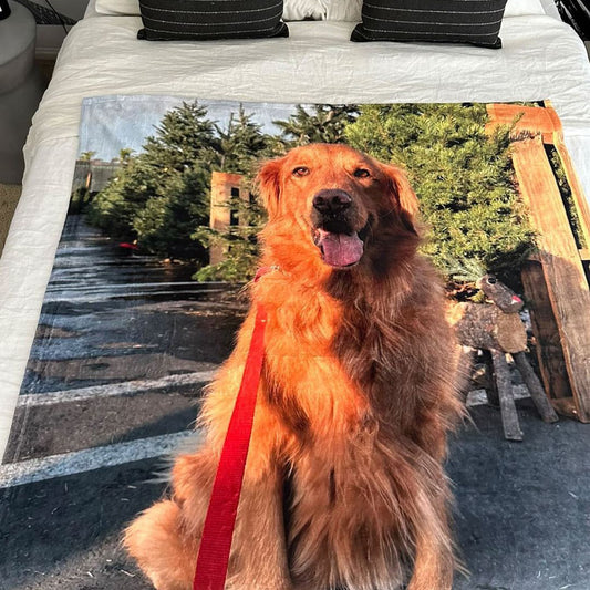 Customizable Silky Touch MircroFleece Blanket 30"x40"