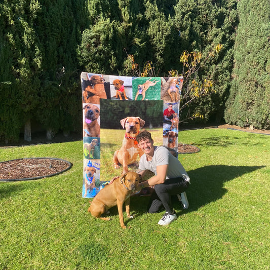 Customizable Silky Touch MicroFleece Blanket 50"x60"